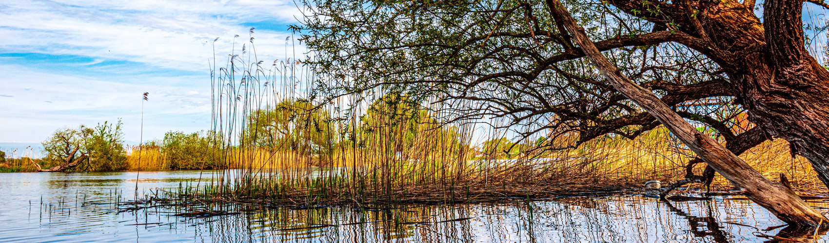 Urlaub in der Region Fürstenberg an der Havel - Oberhavel in Norden Brandenburgs - Hotel & Restaurant Zur Alten Bornmühle - www.hotelaltebornmuehle.de